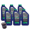 WSRD Polaris Engine Oil Change Kit | Pro R