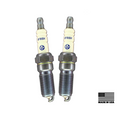 WSRD Spark Plug Set | Polaris RZR Turbo (2 Cylinder)