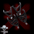 24RZR1KXPFwdAArms.png